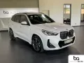 BMW X1 xDrive 20d M Sport 19