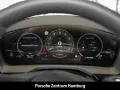 Porsche Panamera Turbo E-Hybrid Panorama Sportabgas