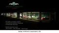 Fiat Dino 2400 Coupé - Der mit den Ferrari-Genen