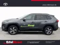 Toyota RAV4 2.5 Plug-In Teamplayer 15 Jahre Relax Garan