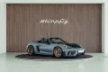 Porsche 718 Boxtser Spyder RS, Arktikgrau, MwSt.