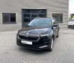 Skoda Karoq Selection/LED/ACC/APP/5J.Gar