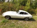 Jaguar E-Type - Serie 1 Coupé 3,8 Liter, der Schönste!