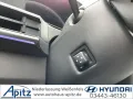 Hyundai Santa Fe PHEV 7-Sitzer 4WD Blackline