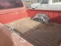 Dodge 1979 D100 Short Pick Up. California Truck