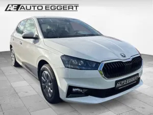 Skoda Fabia Selection 1,0 TSI DSG LED Sperrdiff. Apple