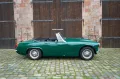 MG Midget 1.3 *Classic Data 3+*
