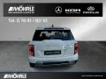 KGM Torres 1.5 2WD Forest Edition LED Sitzbelüftung