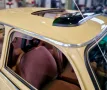 Trabant Andere