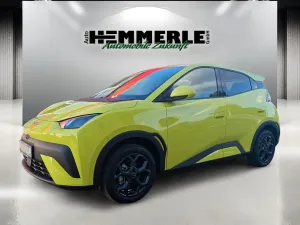 BYD DOLPHIN SURF Comfort*!!!!!!!ONLINEPREIS!!!!!