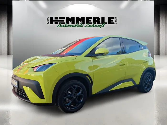 BYD DOLPHIN SURF Comfort*!!!!!!!ONLINEPREIS!!!!!