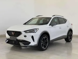 Cupra CUPRA Formentor Formentor 2020 2.0 tdi 4drive 15