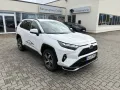 Toyota RAV 4 Plug-in-Hybrid Teamplayer Allwetter