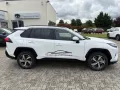Toyota RAV 4 Plug-in-Hybrid Teamplayer Allwetter