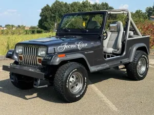 Jeep JEEP Wrangler YJ 4.0 Automatik+klima