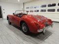 MG Mg MG F MGA 1600