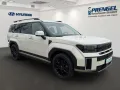 Hyundai SANTA FE 1.6T HEV 4WD Intro BOSE/360°/Leder