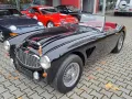 Austin Healey A H 100/6 BN4 2+2 -dt. Toprestauration !