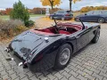 Austin Healey A H 100/6 BN4 2+2 -dt. Toprestauration !
