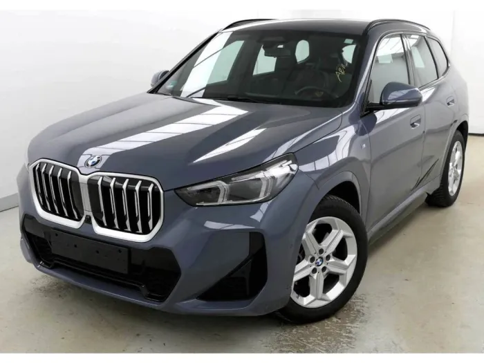 BMW X1 sDrive 20i M Sport HUD ACC DrivingPro 360°Kam
