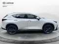 Other Lexus NX NX 350 Hybrid 4WD VENDUTA