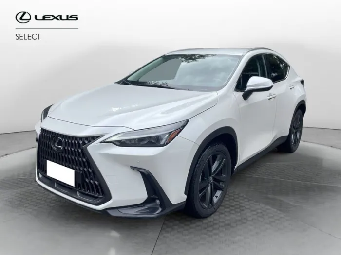 Other Lexus NX NX 350 Hybrid 4WD VENDUTA