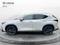 Other Lexus NX NX 350 Hybrid 4WD VENDUTA
