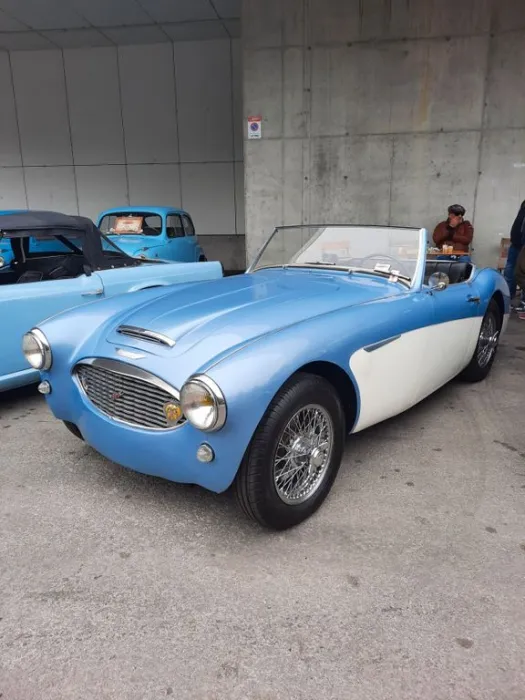 Other AUSTIN HEALEY