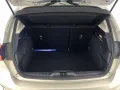 Other Ford Focus Focus 1.5 EcoBlue 115 CV automatico 5