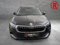 Skoda Karoq Selection 130 Jahre Mehrzonenklima PDC LED