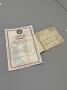 Alfa Romeo GT 1300 Junior - Exceptionally Original