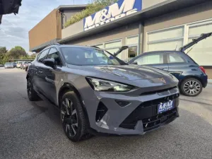 Other CUPRA Formentor 1.5 Hybrid 150 CV DSG #VARI COLO