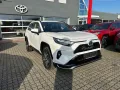 Toyota RAV 4 Plug-in-Hybrid Teamplayer