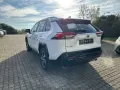 Toyota RAV 4 Plug-in-Hybrid Teamplayer