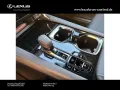 Lexus RX 450 h+ E-Four F Sport Design,Panorama