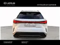 Lexus RX 450 h+ E-Four F Sport Design,Panorama