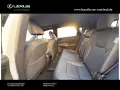 Lexus RX 450 h+ E-Four F Sport Design,Panorama