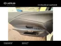 Lexus RX 450 h+ E-Four F Sport Design,Panorama