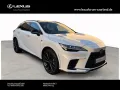 Lexus RX 450 h+ E-Four F Sport Design,Panorama
