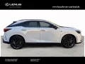 Lexus RX 450 h+ E-Four F Sport Design,Panorama