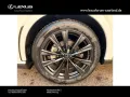 Lexus RX 450 h+ E-Four F Sport Design,Panorama
