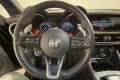 Alfa Romeo ALFA ROMEO Stelvio 2.0 Turbo 280 CV AT8 Q4 Veloc