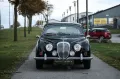 Jaguar Daimler 2.5 Litre V8