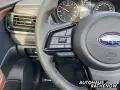 Subaru Forester 2.0 Platinum Navi LEDER 360 Kamera LED 