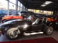 Cobra Superformance - primus inter pares und qed!