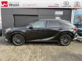 Lexus RX 450h + Luxury Line Panorama Plug-In-Hybrid