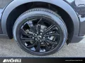 KGM Tivoli 1.5 P Blackline LED 18 Zoll Kamera Navi