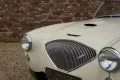 Austin Healey 100/4 