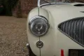 Austin Healey 100/4 
