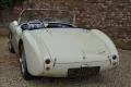 Austin Healey 100/4 